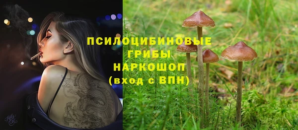 мдпв Армянск