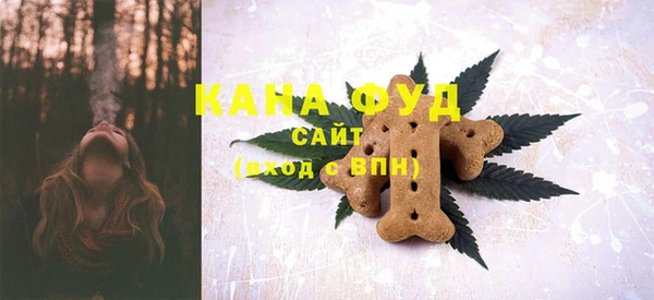 ALPHA PVP Надым